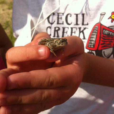 Week 4: August 7th - 10th