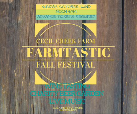 FARMTASTIC FALL FESTIVAL