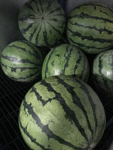 Fruit, Organic mini seedless Watermelon