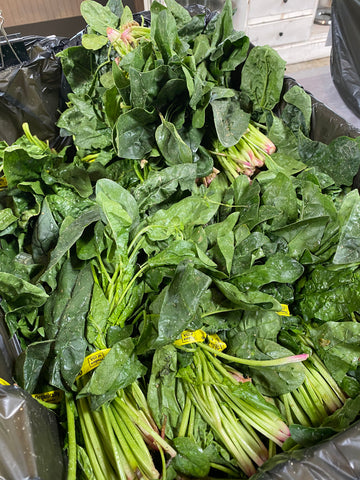 Produce, Cecil Creek Farm, Organic Spinach, 1 bunch